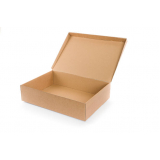 caixa de papelão modelo corte e vinco fabricante Guararema