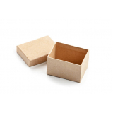 distribuidora de caixa com tampa de papelão Parque do Carmo