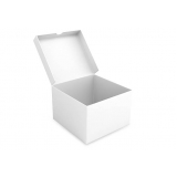 fabricante de caixa de papelão branca personalizada Parque do Carmo